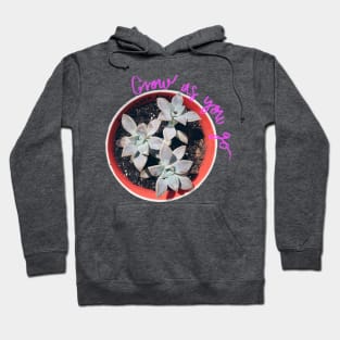 Succulent Grow as you go Pink Hoodie